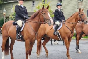Dreaming Tree Equestrian