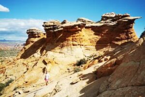 Dreamland Safari Tours