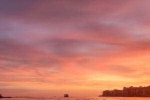 Dreamlander Tours of Marco Island