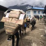 Driftwood Adventure Treks