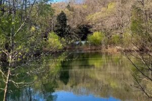 Dunbar Cave Visitor Center