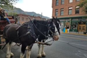 Durango Welcome Center