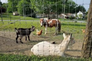 Dutch Homestead Vacation Home