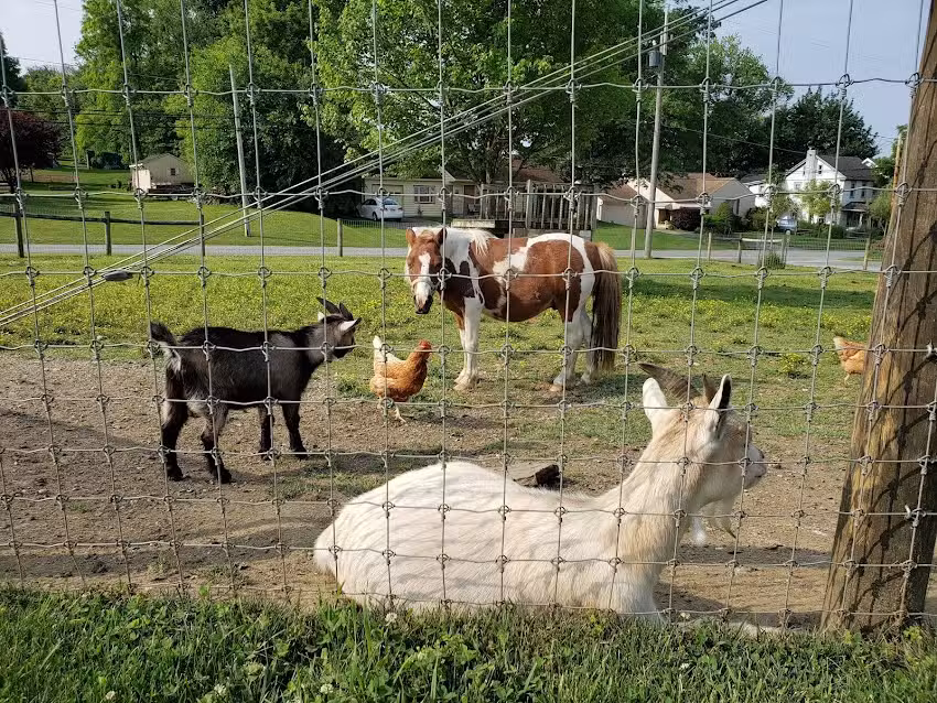 Dutch Homestead Vacation Home