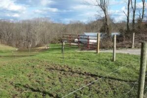 Dutch Pines Equine LLC