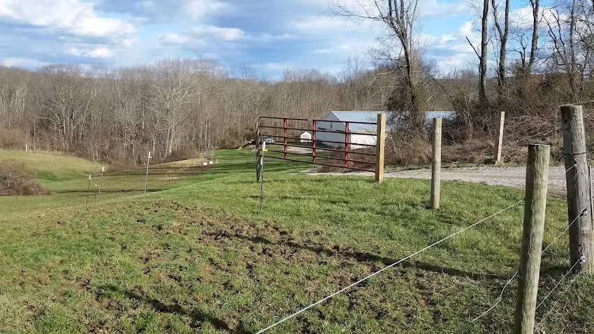 Dutch Pines Equine LLC