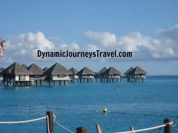 Dynamic Journeys Travel