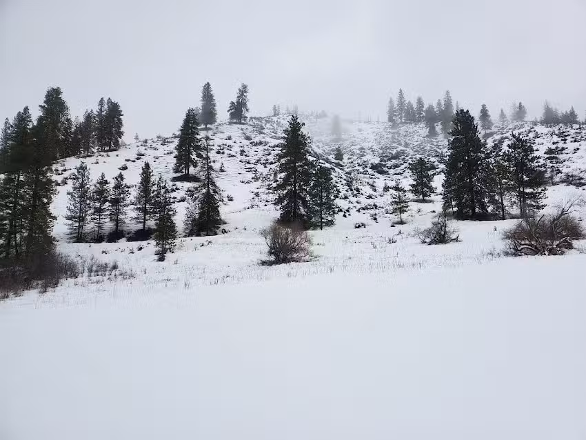 Eagle Creek Ranch Leavenworth WA. Horseback Riding ,Horse rides