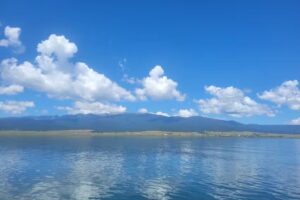 Eagle Nest Cabins & Marina