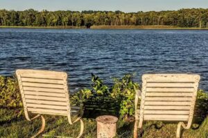 Eagles Perch on the Hudson