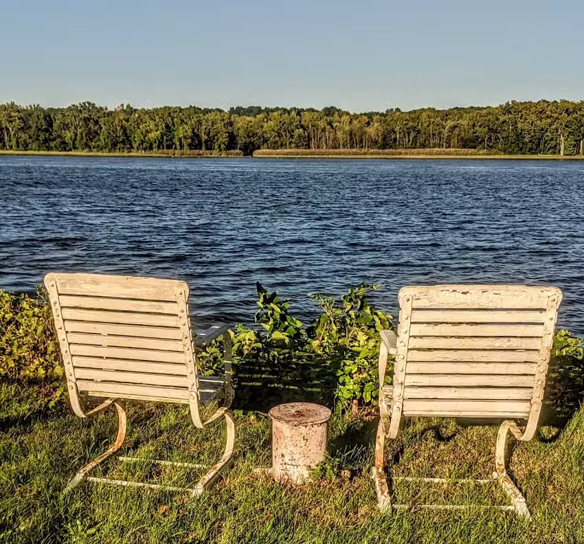 Eagles Perch on the Hudson