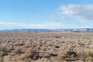 East Carbon Tourism info