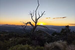East Zion Adventures