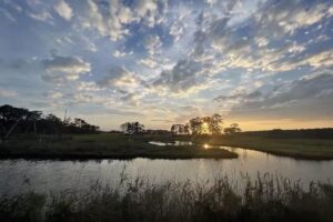 Eastern Shore Retreats