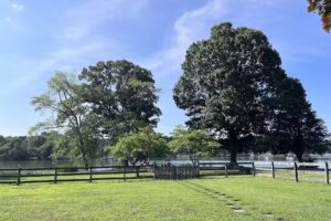 Eastern Shore Vacation Rentals