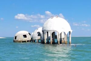 Eco Endeavors & Breakwater Adventures Tours