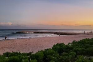 Economy Travel Agency Detroit