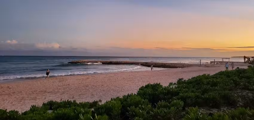 Economy Travel Agency Detroit