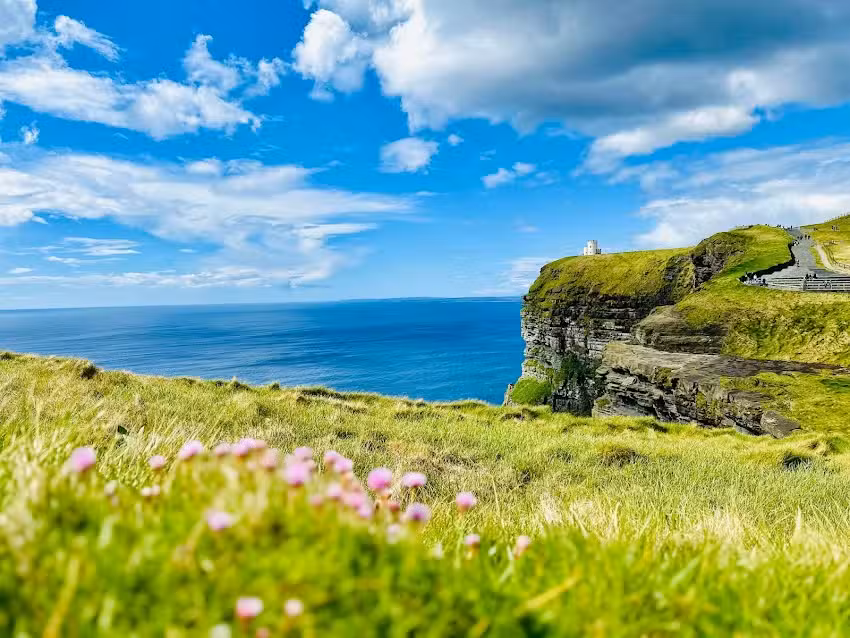 Ed&rsquo;s Travel Agency Montgomery