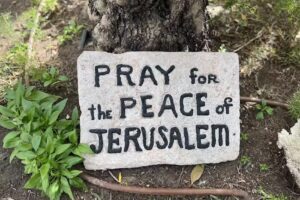 Educational Opportunities Tours