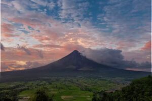 Edward’s Travel & Cruise