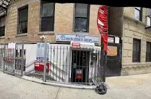 Elaine Services Dream LLC