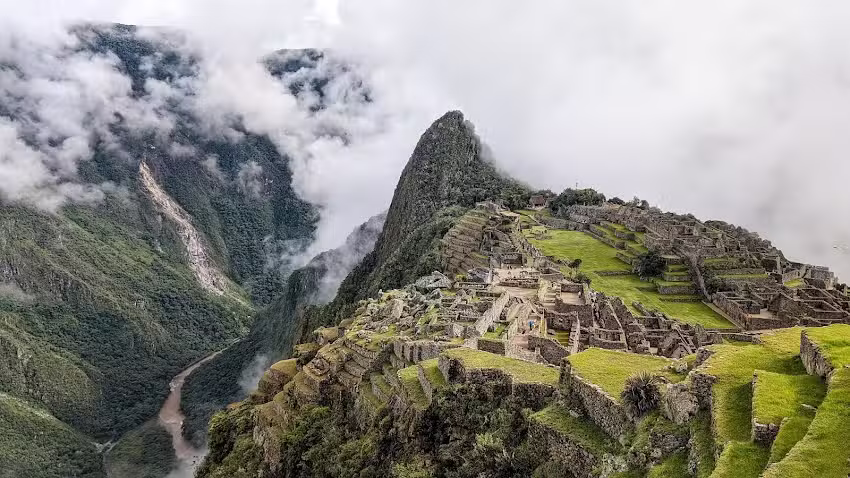 Eleas Travel Agency Houston