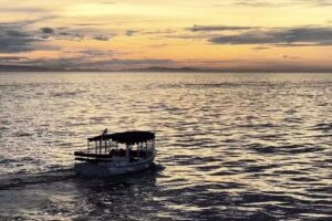 Electric Island Cruises