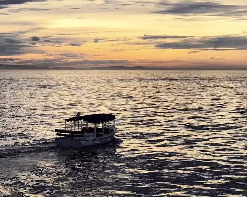 Electric Island Cruises