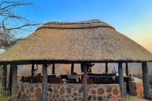 Elephant Trails Safaris