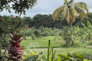 Elevate Explorations