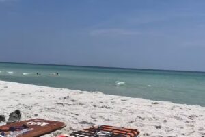 Elite Travel Inc & Cruise