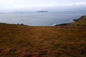 Elite Travel Management Group Inc