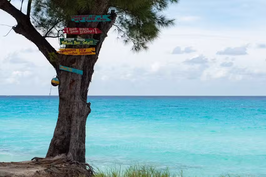 Elite Vacation Designers LLC