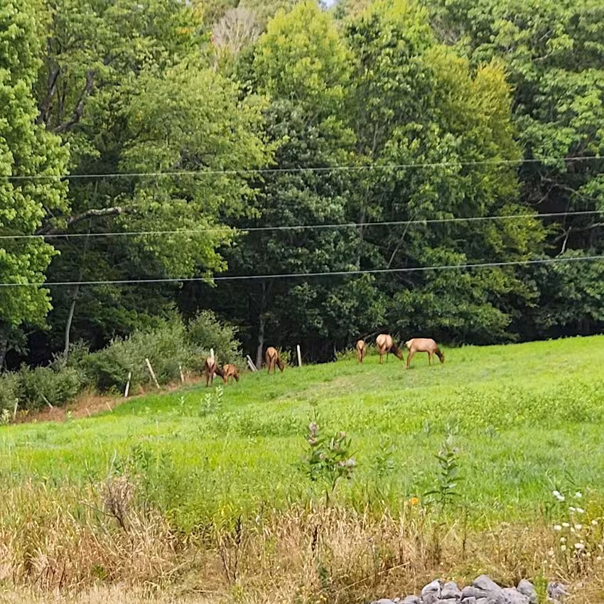 Elk Country Visitor Center (Keystone Elk Country Alliance)