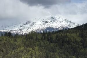 Enchanted Dreamer Getaways