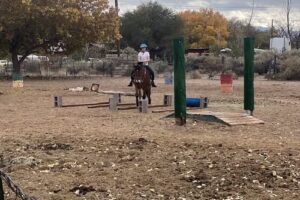 Enchanted Equine Adventures LLC