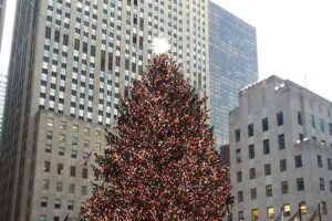 Enchanted Explorations Travel