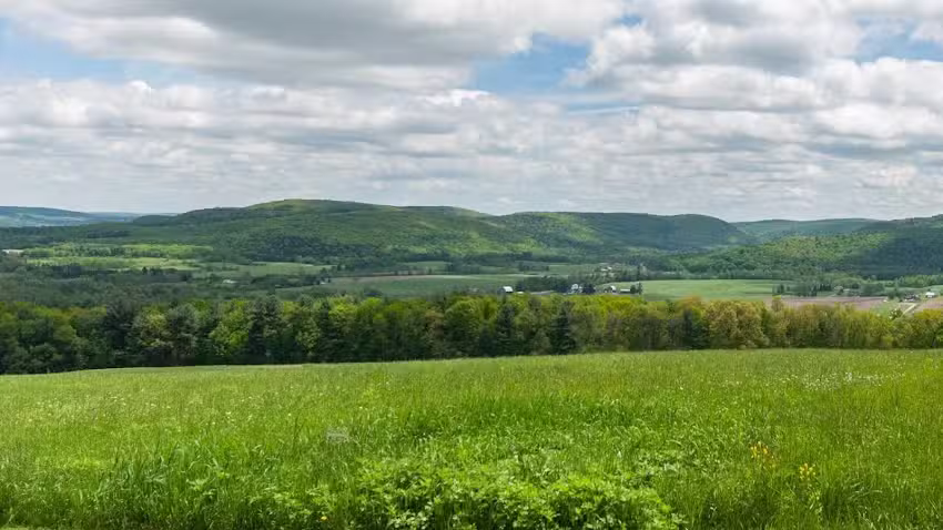 Enchanted Valley View Vacation Rental