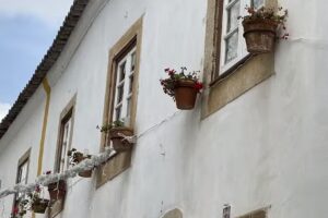 Enchanting Escapes Travel LLC