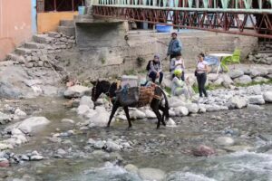 ENV Travel (a division of Food and Vine Travel)