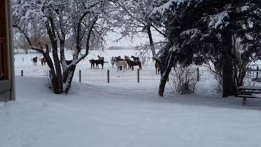 Equine Harmony Ranch