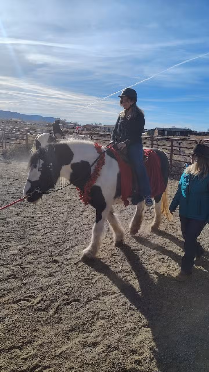 Equine Spirit Sanctuary