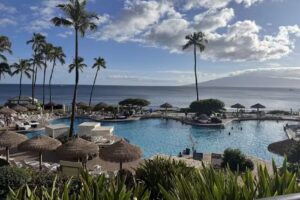 Erica Barthel, Travel Professional with The Magic For Less Travel – Expert in Cruise, Disney, and Universal Vacations