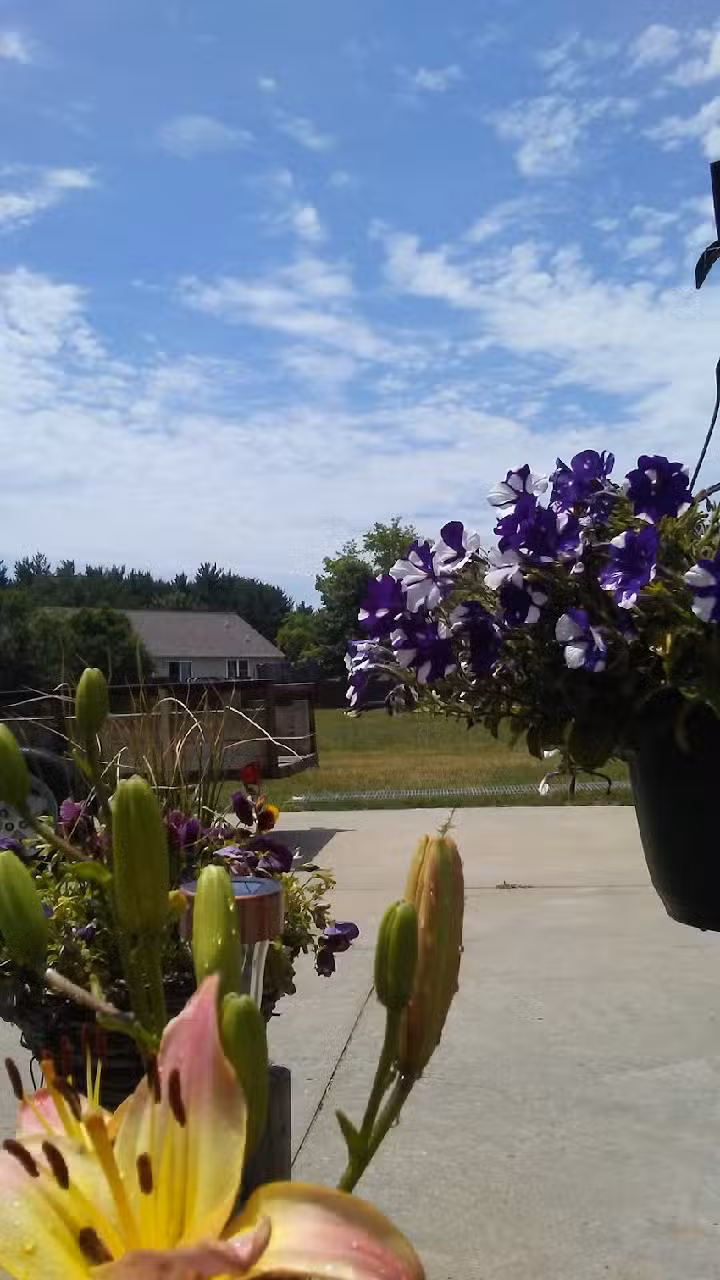 Escape Travel & Cruise