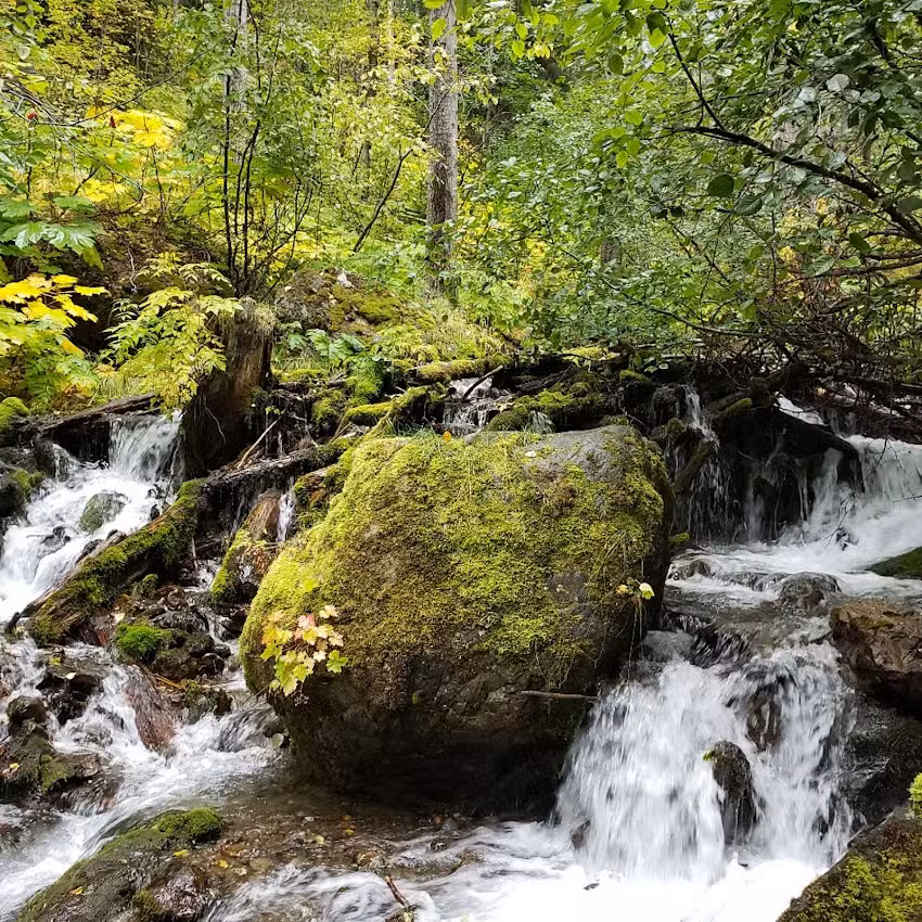 Escaping Anchorage: Your Tour Guide to the Wild Side