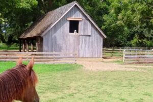 Esperanza Riding Company