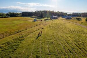 Ethel’s Acres Farm & Stables