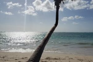 Evan’s World Travel