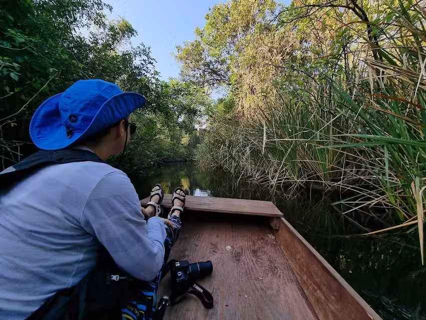 Everglades Adventure Tours